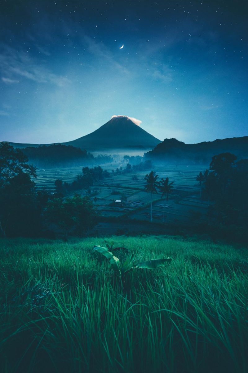 BALI-4